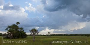 Josh Manring Photographer Decor Wall Art -  Florida Everglades -64.jpg